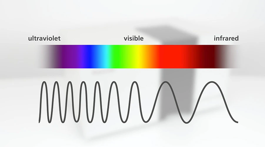 Sample Detail Sample Detail