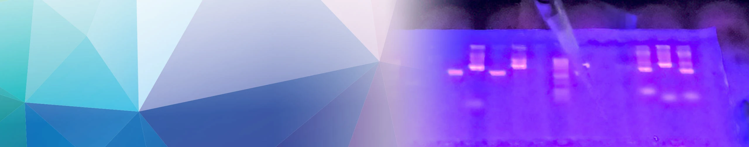 Customized System Solutions for different applications Customized System Solutions